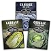 Photo Cabbage Collection Seed Vault - Non-GMO Heirloom Survival Garden Seeds for Planting - Red Acre, Golden Acres, and Michihili (Napa) Cabbage Seed Packets to Grow Your Own Healthy Cruciferous Vegetables new bestseller 2024-2023