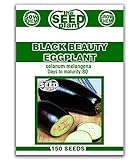 Black Beauty Eggplant Seeds - 150 Seeds Non-GMO Photo, bestseller 2024-2023 new, best price $1.59 ($0.01 / Count) review