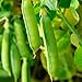 Photo Sugar Snap Pea Garden Seeds - 5 Lbs - Non-GMO, Heirloom Vegetable Gardening Seed new bestseller 2024-2023