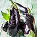 Photo David's Garden Seeds Eggplant Black Beauty 2477 (Black) 50 Non-GMO, Heirloom Seeds new bestseller 2024-2023