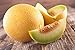 Photo Lot de 50 Graines de Melon Ananas - chair orange, sucrée, juteuse et très parfumée - culture facile - la plante peut porter jusqu’à 6/8 fruits - vigoureuse et très ramifiée - semences reproductibles nouveau best-seller 2024-2023
