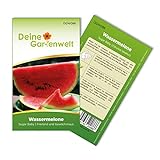 Wassermelonen Sugar Baby Samen - Citrullus lanatus - Wassermelonensamen - Obstsamen - Saatgut für 10 Pflanzen Foto, Bestseller 2024-2023 neu, bester Preis 1,99 € (0,20 € / stück) Rezension