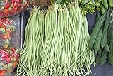 Yard Long Bean Seeds 85+ Seeds, Asian Heirloom Yard Long Beans Seeds, Asparagus Beans Seeds, Phaseolus Vulgaris, Non GMO Photo, bestseller 2024-2023 new, best price $7.45 ($0.09 / Count) review