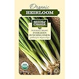 Seeds Of Change 8225 Evergreen Bunching Onion, Green Photo, bestseller 2024-2023 new, best price $8.99 review