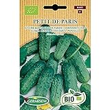 Germisem Orgánica Petit de Paris Semillas de Pepino 2 g Foto, éxito de ventas 2024-2023 nuevo, mejor precio 3,99 € revisión
