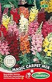 Germisem Magic Carpet Mix Graines de Snapdragon 0.8 g EC1503 Multicolore Photo, best-seller 2024-2023 nouveau, meilleur prix 2,70 € examen