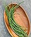 Photo Burpee Yardlong Asparagus Pole Bean Seeds 1 ounces of seed new bestseller 2024-2023