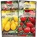 Photo Sow Right Seeds - Cherry Tomato Seed Collection for Planting - Large Red Cherry, Yellow Pear, White, and Rio Grande Cherry Tomatoes - Non-GMO Heirloom Varieties to Plant and Grow Home Vegetable Garden new bestseller 2024-2023