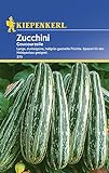 Zucchinisamen - Zucchini Coucourzelle von Kiepenkerl Foto, Bestseller 2024-2023 neu, bester Preis 2,77 € Rezension