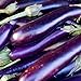 Photo David's Garden Seeds Eggplant Long Purple 1131 (Purple) 50 Non-GMO, Heirloom Seeds new bestseller 2024-2023