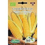 Germisem Orgánica Golden Bantam Semillas de Maíz Dulce 7 g Foto, éxito de ventas 2024-2023 nuevo, mejor precio  revisión