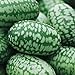 Photo Cucamelon Seeds 35 Seed Pack Mexican Sour Gherkin, Mouse Melon 35 Seeds new bestseller 2024-2023