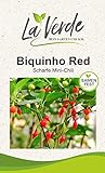 Biquinho Red Peperonisamen Foto, Bestseller 2024-2023 neu, bester Preis 3,25 € Rezension