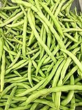 Petite Fillet French Bean Seeds for Planting 1/4 OZ, Non-GMO, American Seeds, Heirloom, Phaseolus vulgaris Photo, bestseller 2024-2023 new, best price $6.99 review