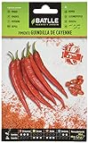 Pimiento Guindilla de Cayenne, rojo Foto, éxito de ventas 2024-2023 nuevo, mejor precio 1,60 € revisión