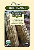 Seeds Of Change 6079 Golden Bantam Corn Photo, bestseller 2024-2023 new, best price $8.99 review
