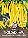 Foto 80002 Sperli Premium Buschbohnen Samen Berggold | Ertragreich | Fadenlos | Buschbohnen Samen ohne Fäden | Ackerbohnen Saatgut neu Bestseller 2024-2023
