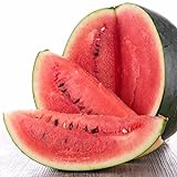 Black Diamond Watermelon Seeds, 50 Heirloom Seeds Per Packet, Non GMO Seeds Photo, bestseller 2024-2023 new, best price $6.25 ($0.12 / Count) review