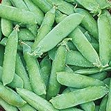 Burpee Wando (Shelling) Pea Seeds 225 seeds Photo, bestseller 2024-2023 new, best price $7.21 review