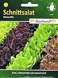 Schnittsalat Fitness Mix Salat vitaminreich Foto, Bestseller 2024-2023 neu, bester Preis 2,50 € Rezension