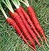 Photo Atomic Red Carrots, 250 Heirloom Seeds Per Packet, Non GMO Seeds, (Isla's Garden Seeds), Botanical Name: Daucus Carrota, 80% Germination Rates new bestseller 2024-2023
