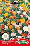 Germisem Graines Pavot de Californie CALIFORNIA MIX Photo, best-seller 2024-2023 nouveau, meilleur prix 6,33 € examen