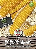 Maissamen - Mais (Popcornmais) Nana von Sperli-Samen Foto, Bestseller 2024-2023 neu, bester Preis 4,97 € Rezension