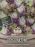 Kohlsamen - Rosenkohl Flower Sprout Autumn Star von Sperli-Samen Foto, Bestseller 2024-2023 neu, bester Preis 7,48 € Rezension