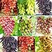 Photo SAVIORD 100pcs Mixed Sweet Seedless Grape Fruit Seeds new bestseller 2024-2023