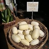 Dragon Eggs Seeds for Planting - 20 Seeds - White Cucumber Seeds - Ships from Iowa, USA Photo, bestseller 2024-2023 new, best price $7.96 ($0.40 / Count) review