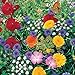 Photo Roll Out Flower Seeded Mats That Attract Butterflies - Set of 2, Butterfly new bestseller 2024-2023