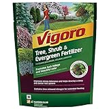 3.5 lb. Tree, Shrub and Evergreen Plant Food-Vigoro-124260 (1 Pack) Photo, bestseller 2024-2023 new, best price $19.95 review