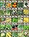 Photo Set of 25 Premium Vegetable & Herb Seeds - 25 Deluxe Variety Premium Vegetable & Herb Garden 100% Non-GMO Heirloom new bestseller 2024-2023