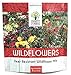 Photo Deer Resistant Wildflower Seed Mixture - Bulk 1 Ounce Packet - Over 15,000 Deer Tolerant Seeds - Open Pollinated and Non GMO new bestseller 2024-2023