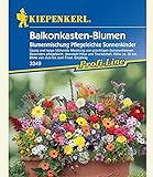 Balkonkasten-Blumenmix Pflegeleichte Sonnenkinder,1 Portion Foto, Bestseller 2024-2023 neu, bester Preis 3,99 € Rezension