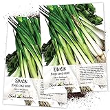 Seed Needs, Tokyo Long White Onion (Allium fistulosum) Twin Pack of 850 Seeds Each Non-GMO Photo, bestseller 2024-2023 new, best price $4.85 review