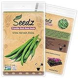 Organic Green Bean Seeds, APPR. 125, Green Bean, Heirloom Vegetable Seeds, Certified Organic, Non GMO, Non Hybrid, USA Photo, bestseller 2024-2023 new, best price $7.88 review