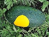 David's Garden Seeds Fruit Watermelon Moon & Stars 3147 (Yellow) 25 Non-GMO, Open Pollinated Seeds Photo, bestseller 2024-2023 new, best price $3.95 review