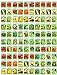 Photo 100 Assorted Heirloom Vegetable Seeds 100% Non-GMO (100, Deluxe Assorted Vegetable Seeds) new bestseller 2024-2023