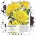 Photo Seed Needs, Dandelion Herb (Taraxacum officinale) Bulk Package of 10,000 Seeds Non-GMO new bestseller 2024-2023
