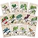 Photo Heirloom Vegetable Seeds Kit 13 Pack – 100% Non GMO for Planting in Your Indoor or Outdoor Garden: Tomato, Peppers, Zucchini, Broccoli, Beet, Bean, Carrot, Kale, Cucumber, Pea, Radish, Lettuce new bestseller 2024-2023