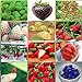 Foto 12 paquetes diferentes semillas de fresa (verde, blanco, negro, rojo, azul, gigante, Mini, Bonsai, rojo normal, Pineberry) E3508 nuevo éxito de ventas 2024-2023
