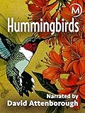 Hummingbirds Photo, bestseller 2024-2023 new, best price  review