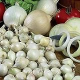 Onion Sets Red,Yellow,White or Mix 40-70 bulbs) Garden Vegetable- Choose a color(Yellow) Photo, bestseller 2024-2023 new, best price $6.35 ($0.12 / Count) review