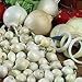 Photo Onion Sets Red,Yellow,White or Mix 40-70 bulbs) Garden Vegetable- Choose a color(Yellow) new bestseller 2024-2023