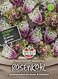 81180 Sperli Premium Rosenkohl Samen Flower Sprouts | Neuheit | Mischung aus Rosenkohl und Grünkohl | Rosenkohl Saatgut | Kohl Samen Foto, Bestseller 2024-2023 neu, bester Preis 6,77 € Rezension