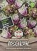 Foto 81180 Sperli Premium Rosenkohl Samen Flower Sprouts | Neuheit | Mischung aus Rosenkohl und Grünkohl | Rosenkohl Saatgut | Kohl Samen neu Bestseller 2024-2023