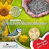 samore Sonnenblumenkerne gestreift erstklassige Qualität Wildvogelfutter Foto, Bestseller 2024-2023 neu, bester Preis 38,56 € (1,54 € / kg) Rezension
