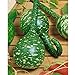 Photo Long Handle Dipper Gourd Seeds for Planting - 20 Seeds new bestseller 2024-2023