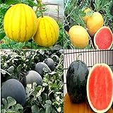 Cozy Crib Multicolor Watermelon Mix About 20 Seeds Photo, bestseller 2024-2023 new, best price $5.99 ($0.30 / Count) review